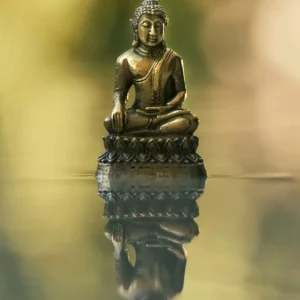 pack des 6 méditations