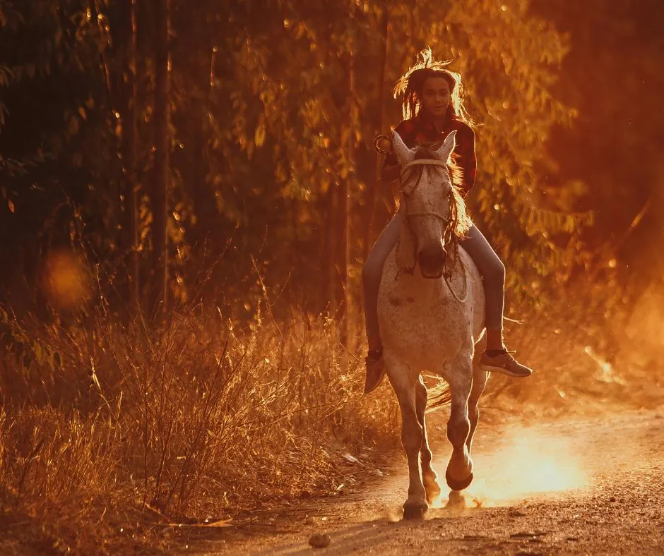 cheval de feu 2026 - stratégies
