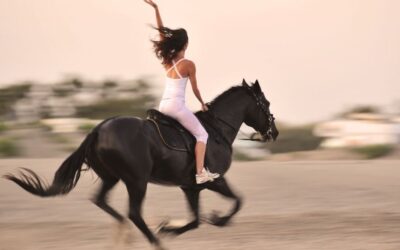 Atelier – Maîtrisez l’énergie 2026